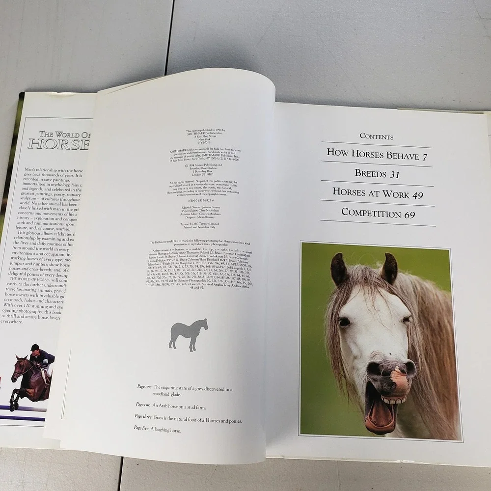 The World of Horses Angela Rixon Hardcover Book 1994 Smithmark Photography